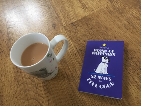 22091900_10156049004114305_2034612147_n