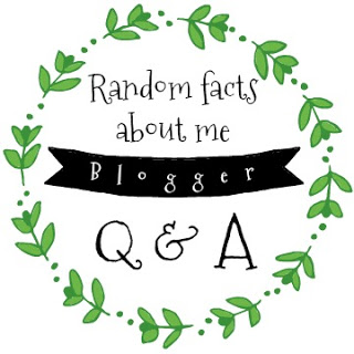 blogger q&amp;a