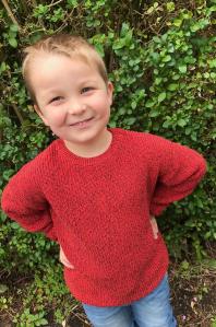 boy wearing orange sweater in front of bush